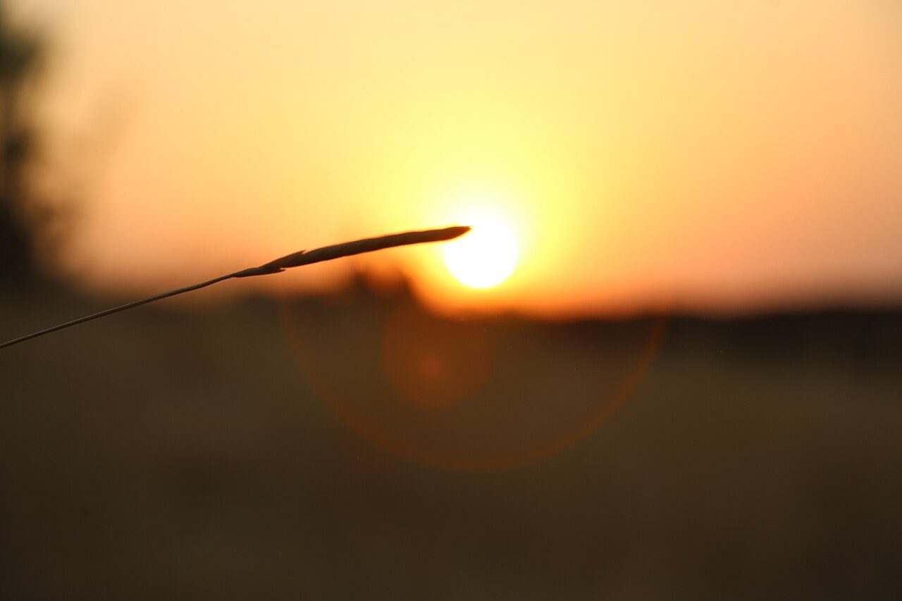 A couple in silhouette at sunset